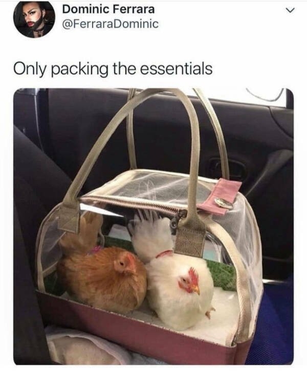 funnymemes561_027