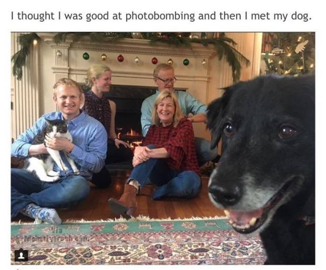 funnymemes562_016
