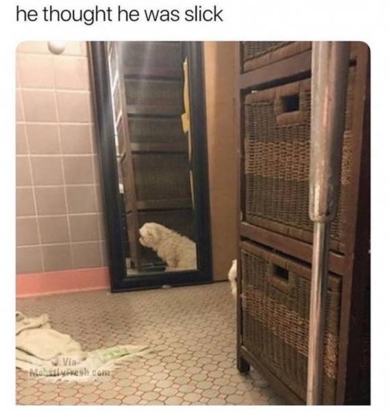 funnymemes562_021