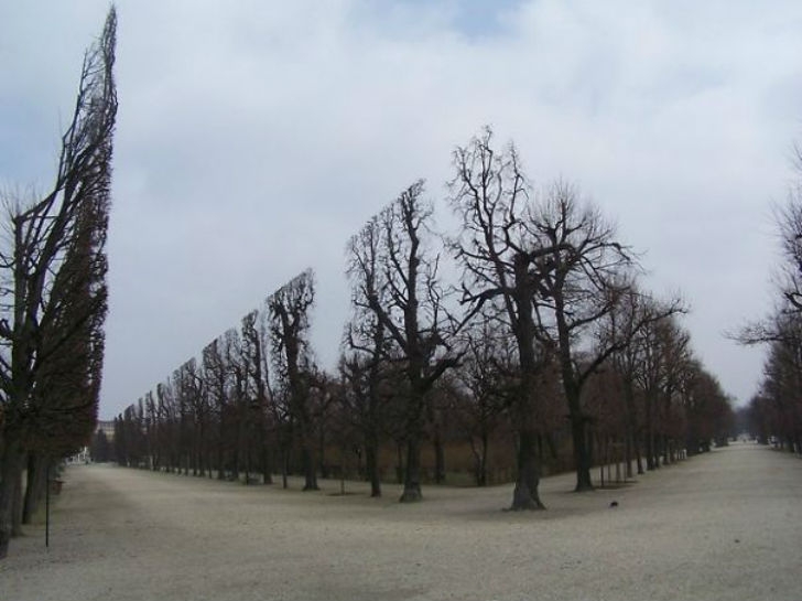 perfectphotos235_007
