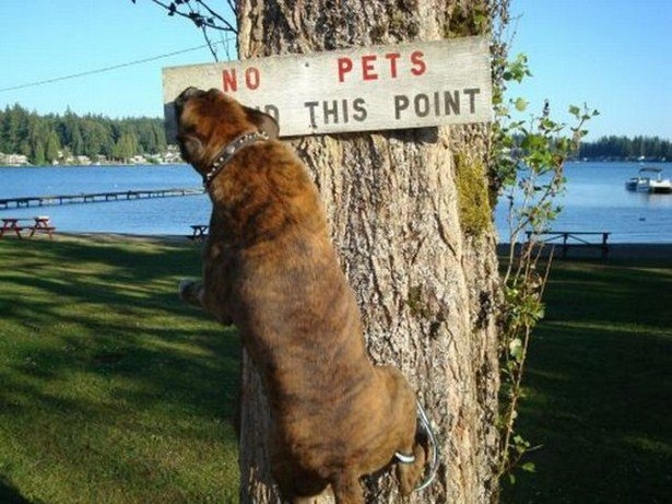 randompics2164_003