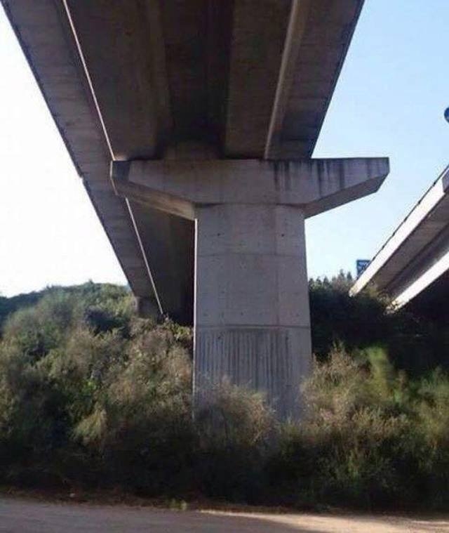 randompics2168_061