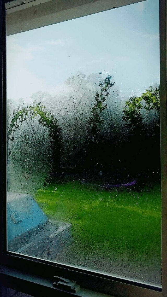 randompics2169_055