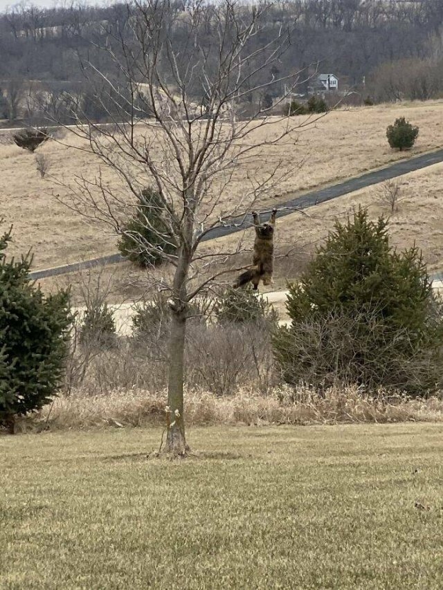 randompics2169_057