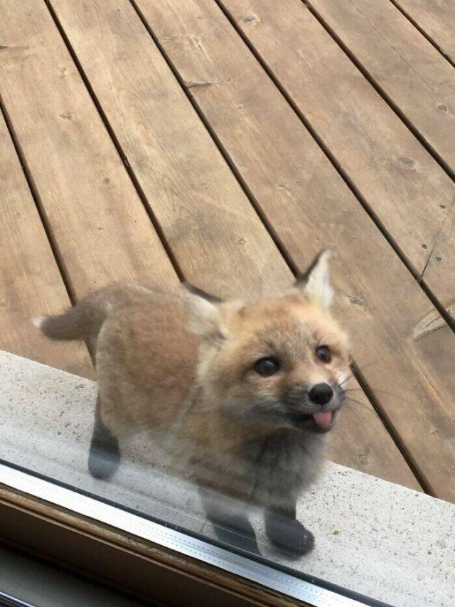randompics2169_066