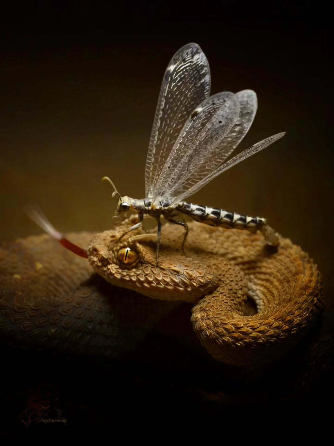 randompics2170_004