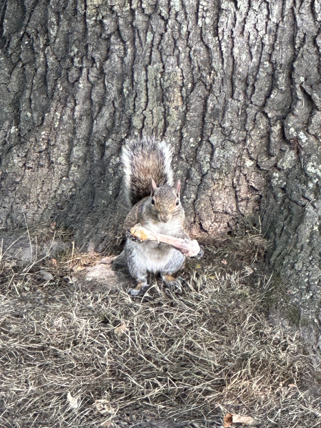 randompics2170_058