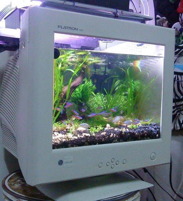 randompics2172_063