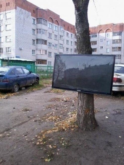 randompics2173_026