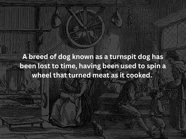 scaryfacts4_006
