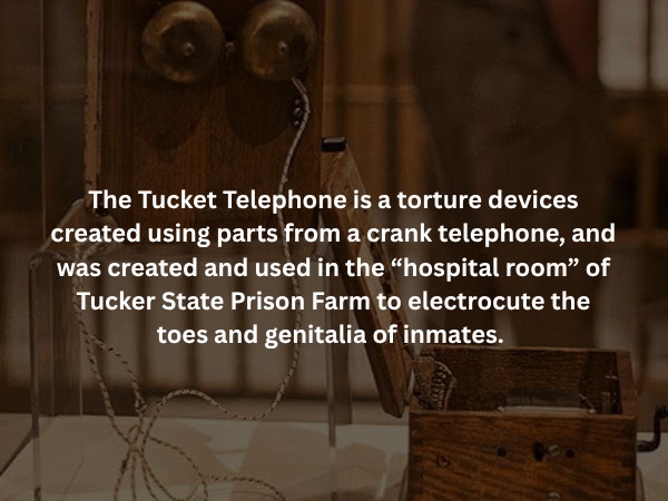 scaryfacts4_009