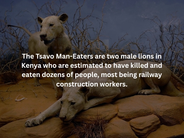scaryfacts4_010