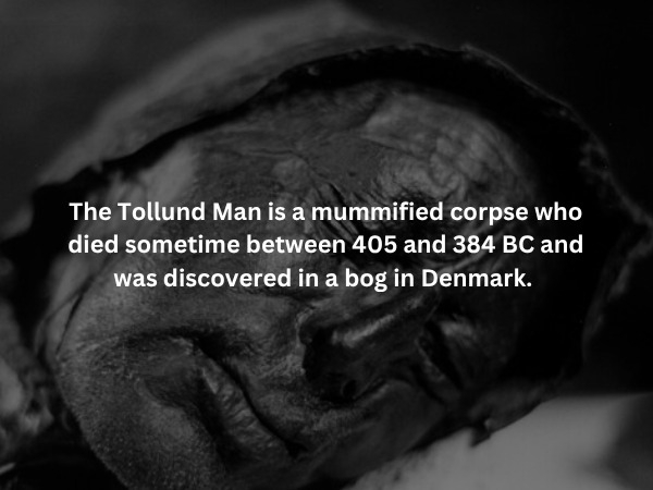 scaryfacts4_014