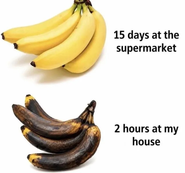truememes78_003