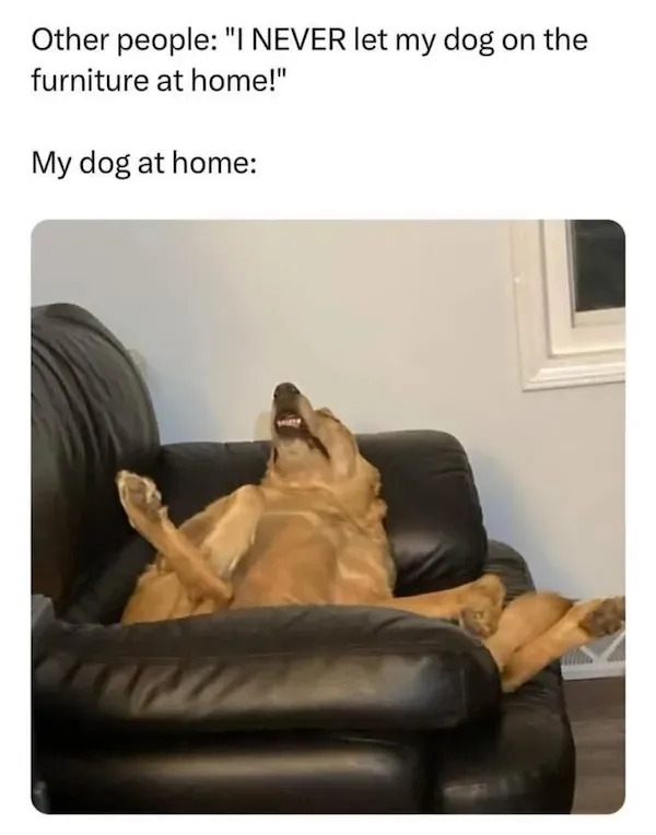 truememes78_030