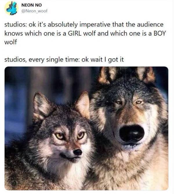 truememes78_039
