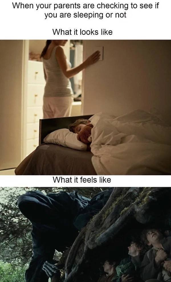 truememes79_003