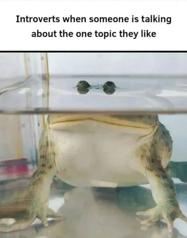 truememes80_002