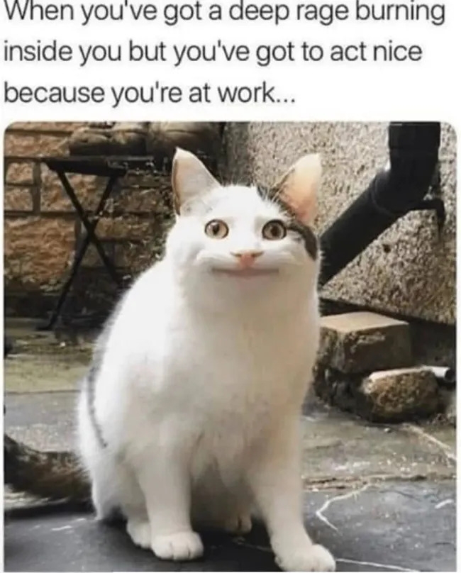 truememes80_020