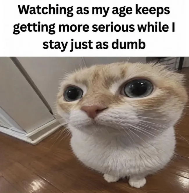 truememes80_027