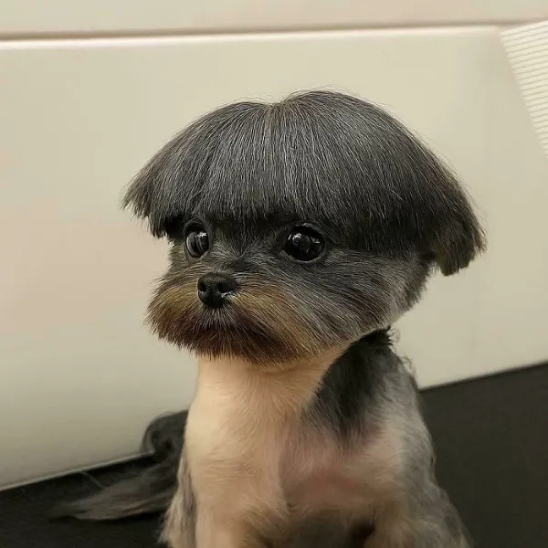 weirdhair133_008