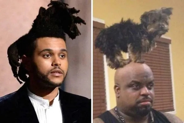 weirdhair133_015