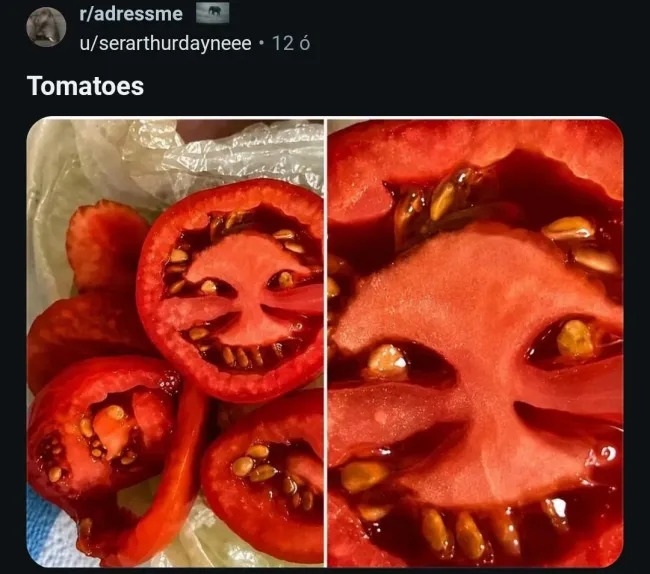 creepytoys10_013
