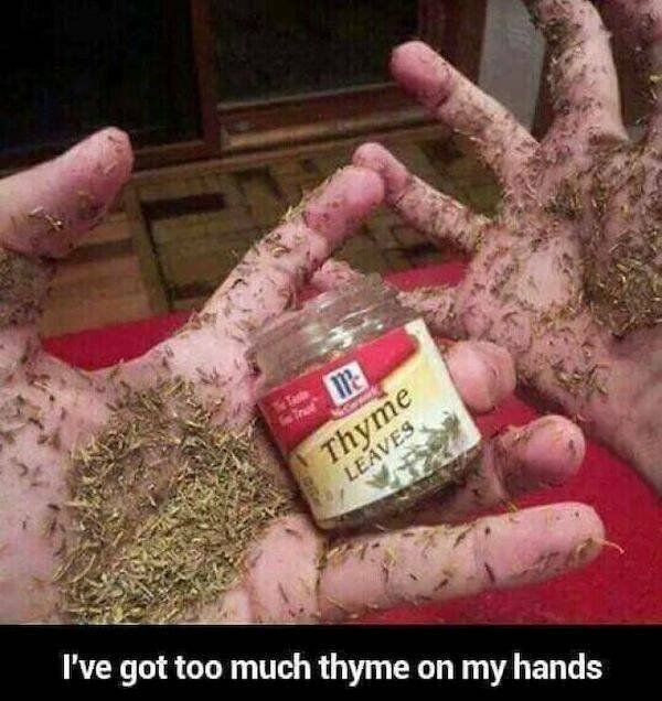 funnymemes563_011