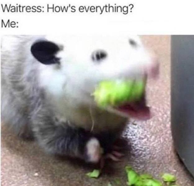 funnymemes564_006