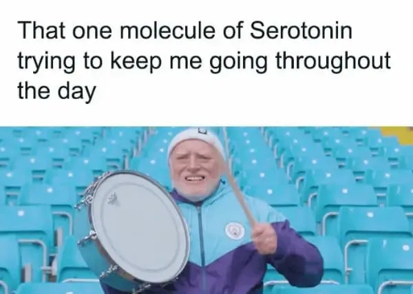 funnymemes564_024