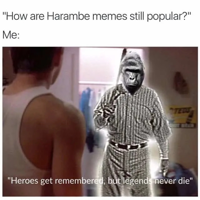 funnymemes564_035