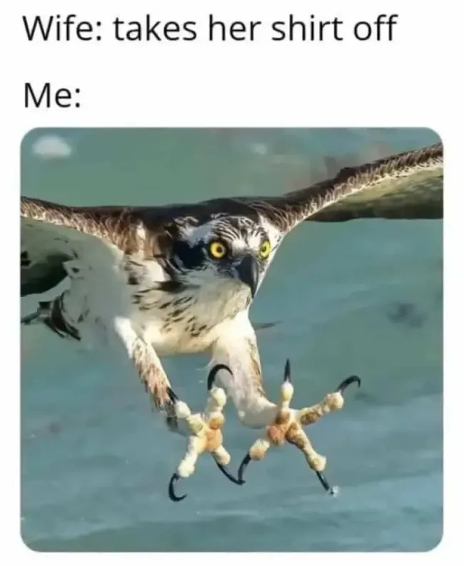 funnymemes565_019