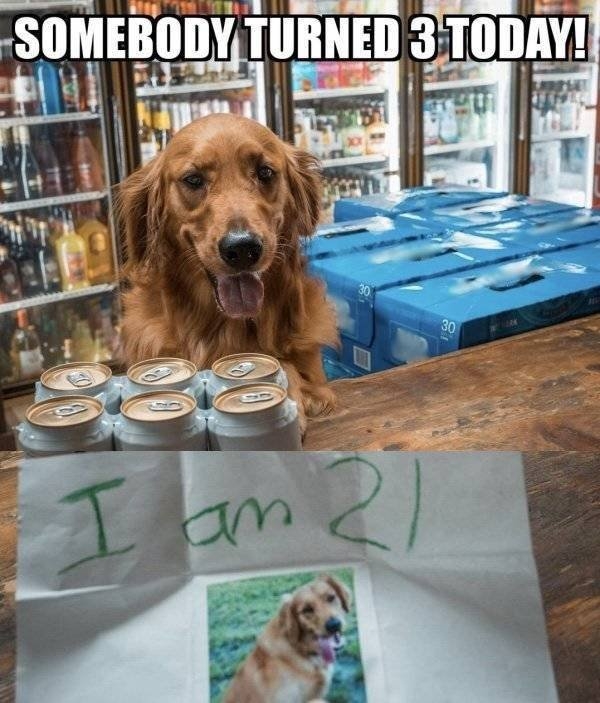 funnymemes565_040