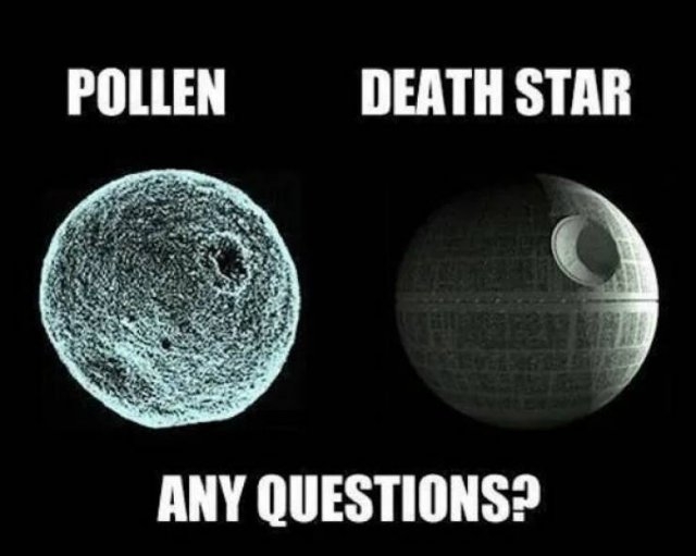 horrormoviememes17_010