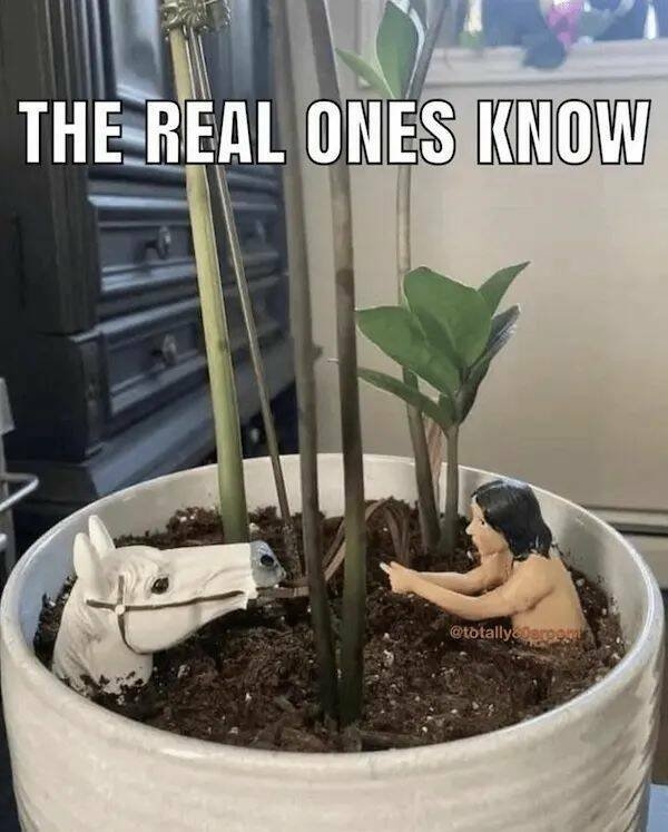 horrormoviememes17_016