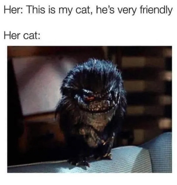 horrormoviememes17_030