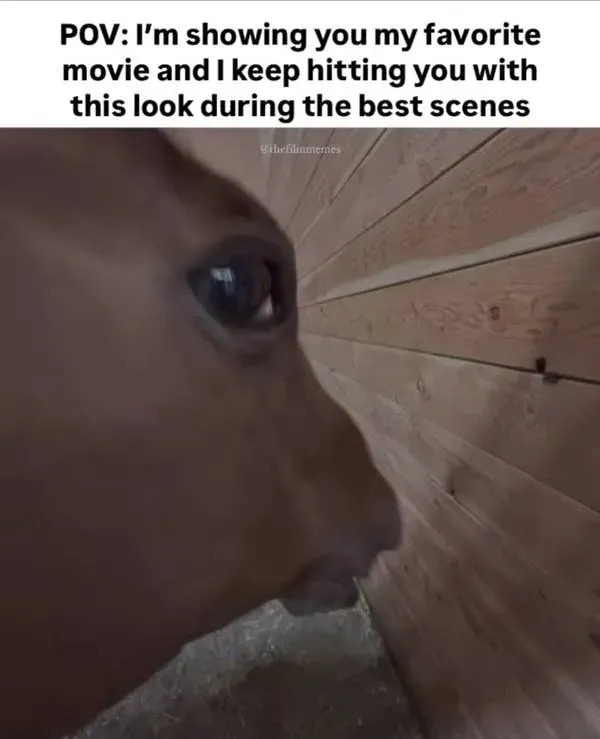 truememes81_013