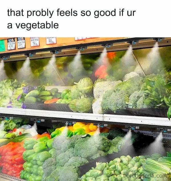 truememes81_033