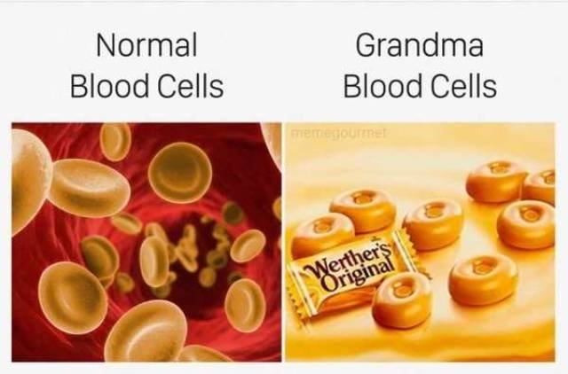 truememes81_039