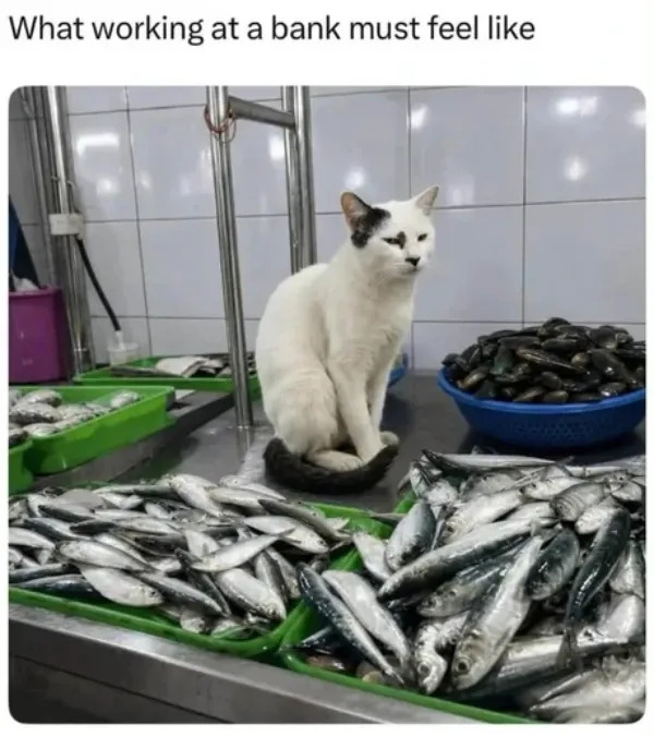 workmemes61_014