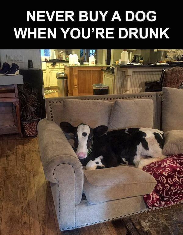 funnymemes566_002