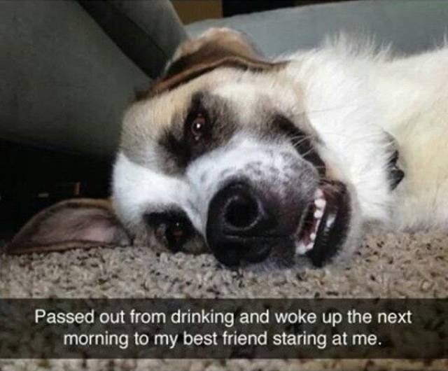 funnymemes566_005