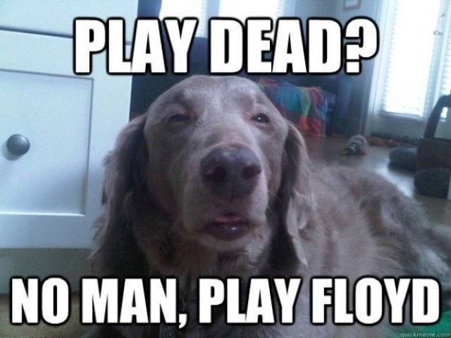 funnymemes566_010