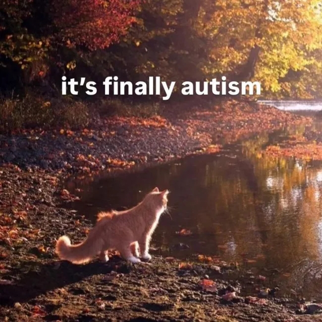 funnymemes567_014
