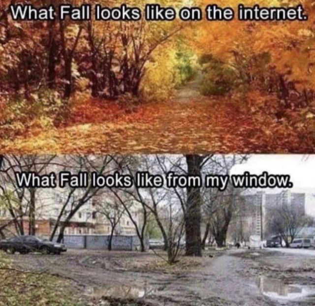funnymemes567_016