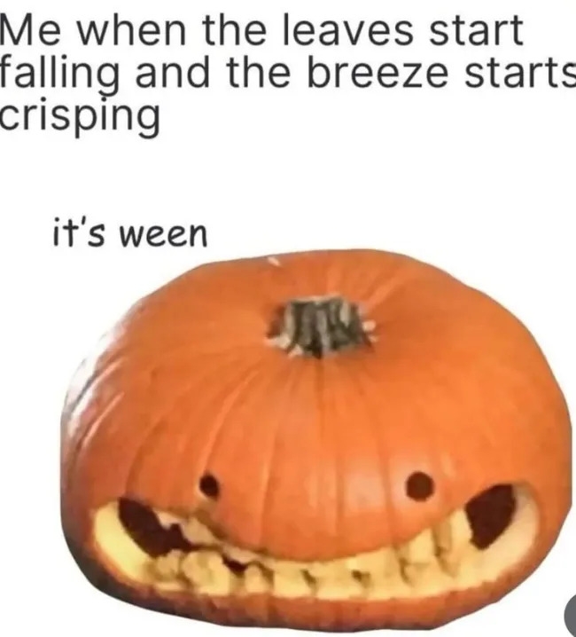 funnymemes567_017