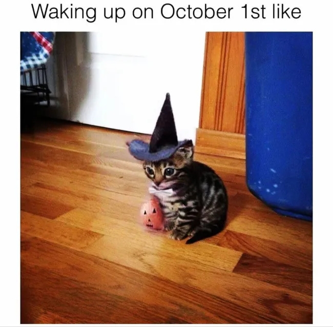 funnymemes567_020