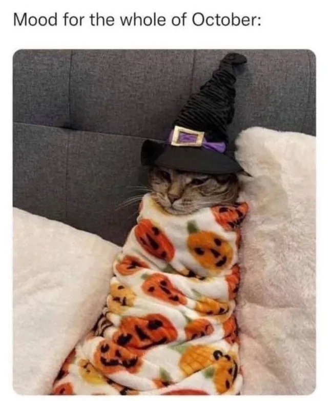 funnymemes567_022