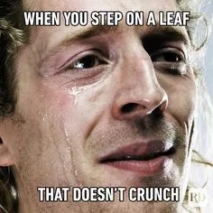funnymemes567_024