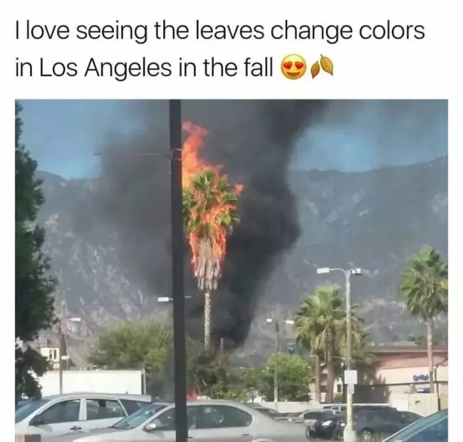 funnymemes567_027